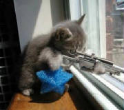 sniper.jpg